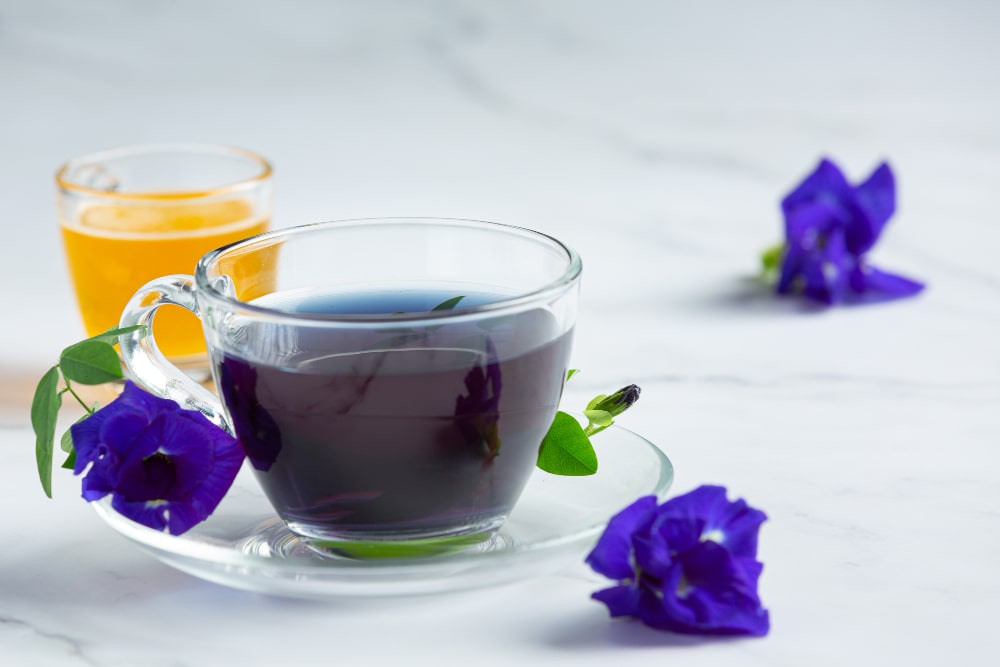 Butterfly Pea Tea guide